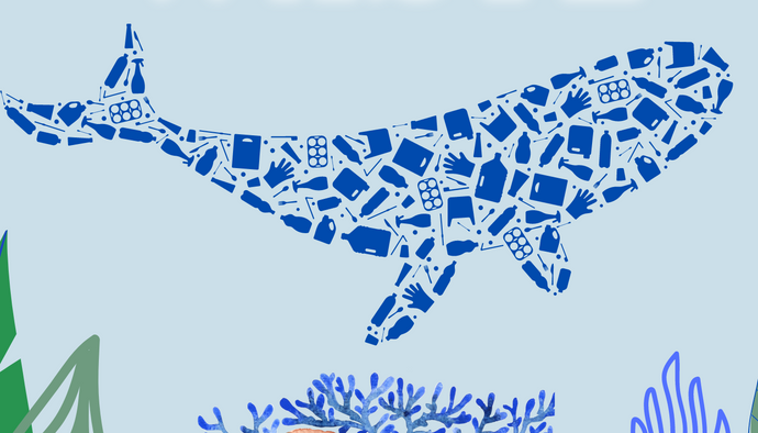 5 Unique Ways to Reduce Plastic Waste